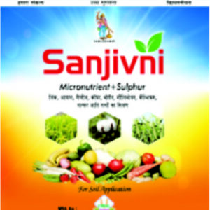 sanjivni