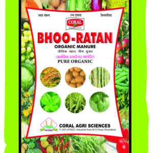 Bhoo Ratan