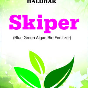 स्किपर (Skiper)